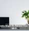 Houseplants Might Be Behind Your Sluggish Wi-Fi